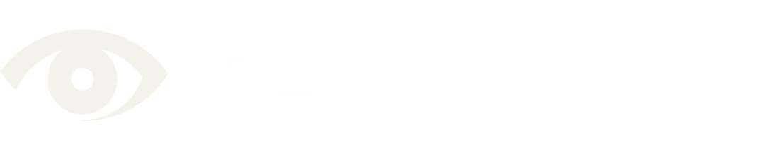 securiton logo e1779262647713 | Alarm Group Belgium, Specialist In Beveiliging